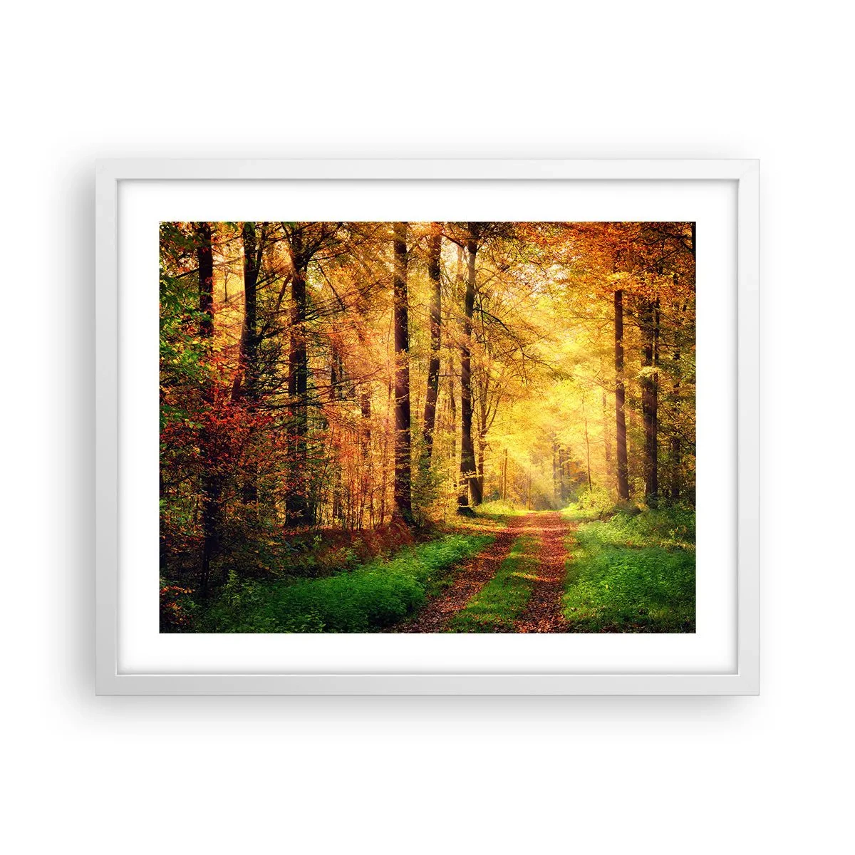 Plakat w białej ramie - Leśno-złota cisza - 50x40 cm