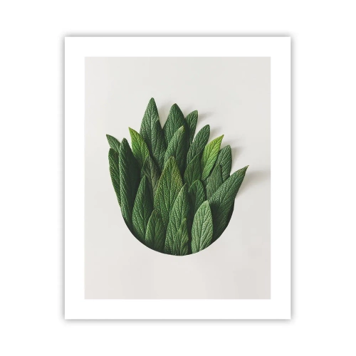 Plakat - Nieposkromiona ciekawość - 40x50 cm