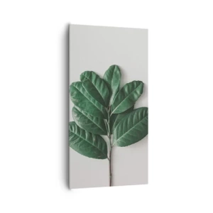 Obraz na płótnie - Rysunek samej natury - 65x120 cm