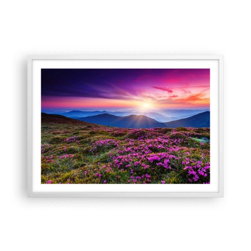 Plakat w białej ramie - Ziół zapachniały świeże pęki od niw - 70x50 cm