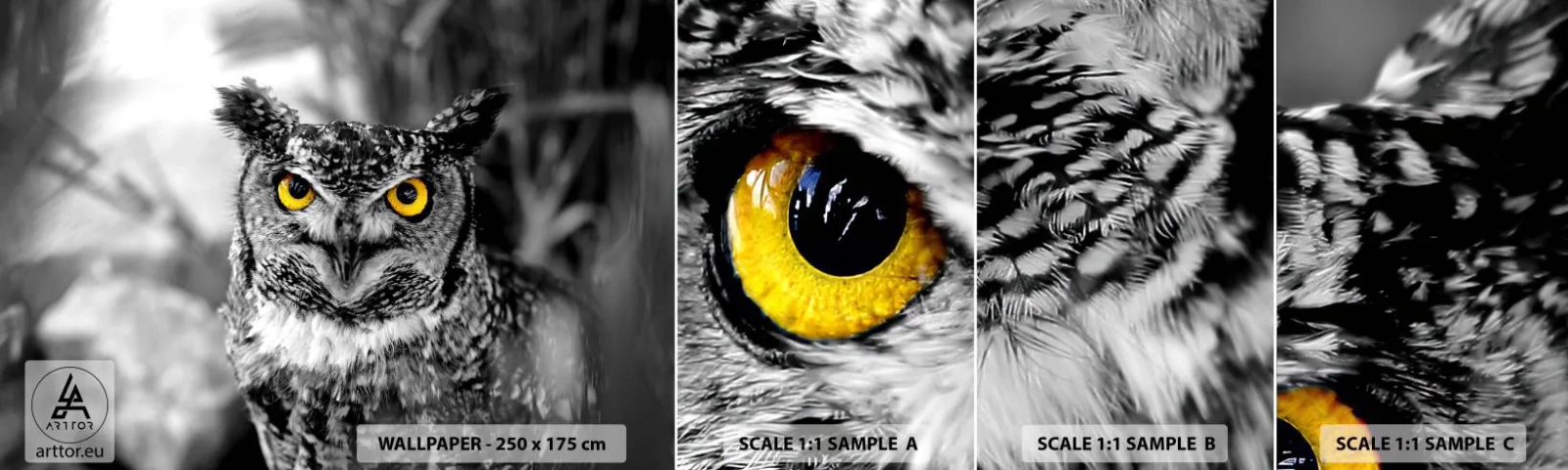 Fototapeta Próbka Standard Eco - Nic się nie ukryje - Ptaki, Sowa, Natura - 100x30 cm