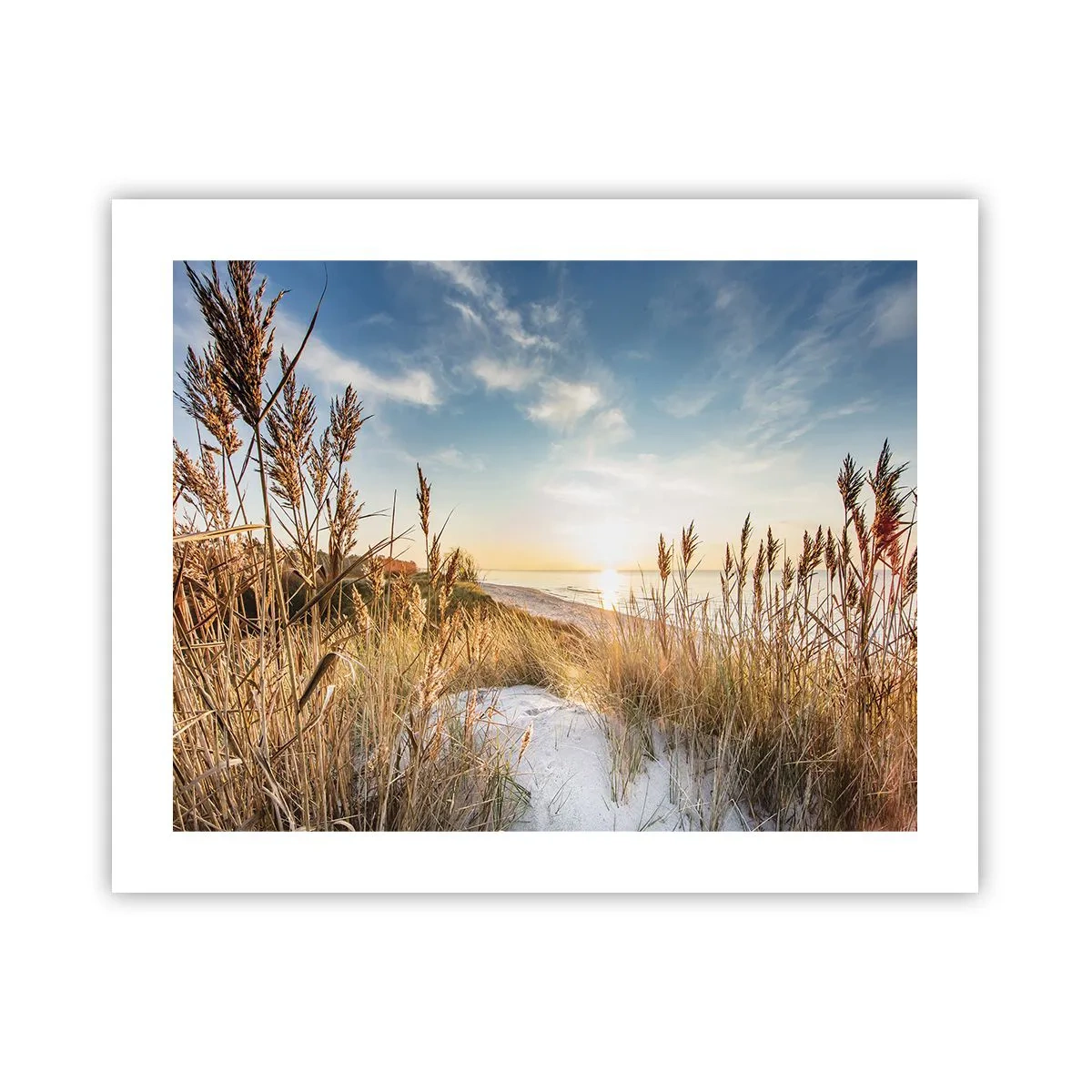 Plakat - Północna plaża - 50x40 cm
