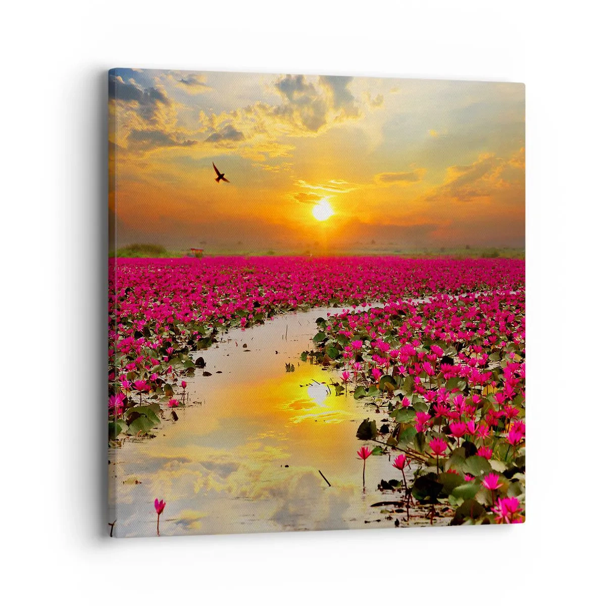 Obraz na płótnie - Tajemne życie jeziora - 40x40 cm