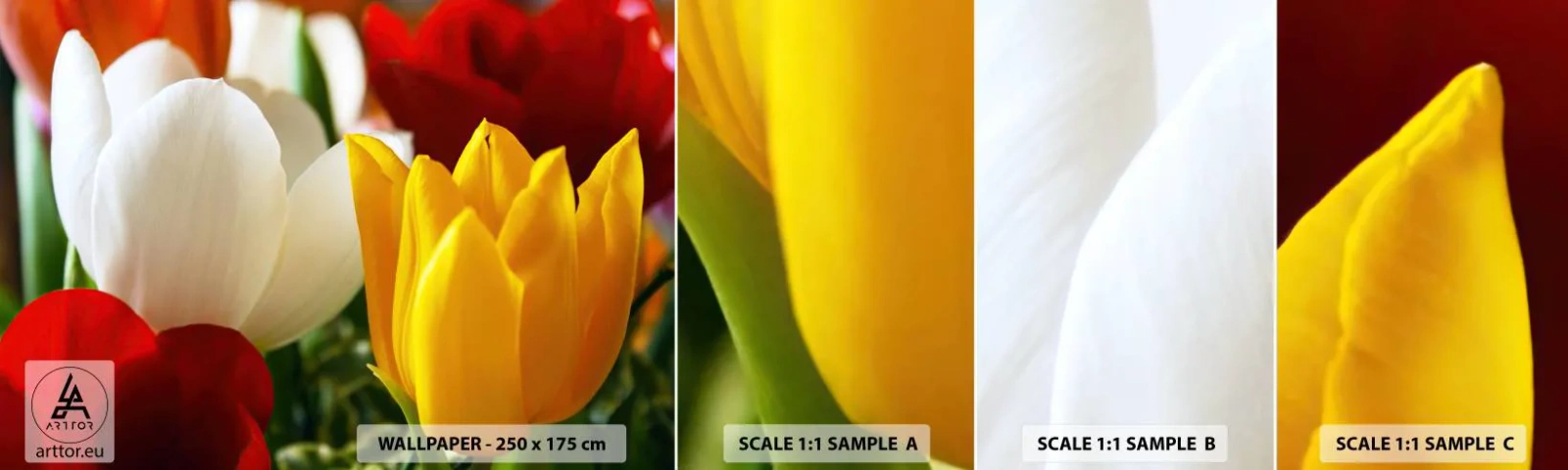 Fototapeta Próbka Standard Eco - Tulipanowa gorączka - Kwiaty, Tulipany, Bukiet Kwiatów - 100x30 cm