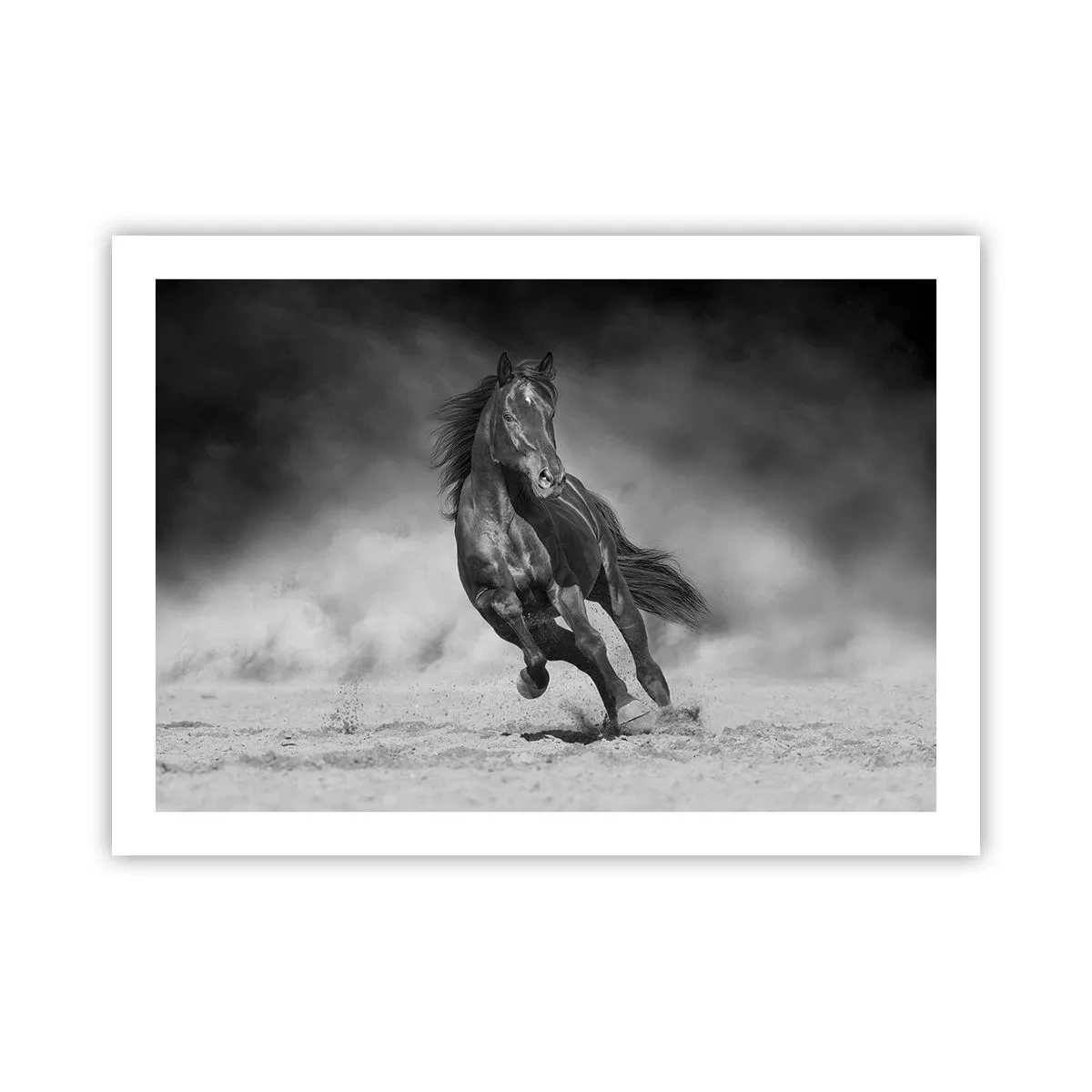 Plakat - Godny samego emira - 70x50 cm