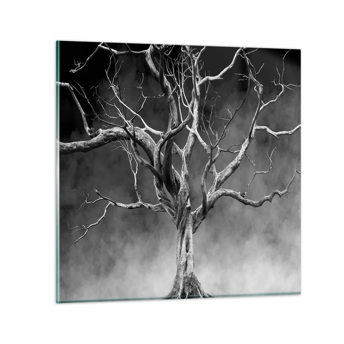 Obraz na szkle - Pierwotne i święte - 70x70 cm