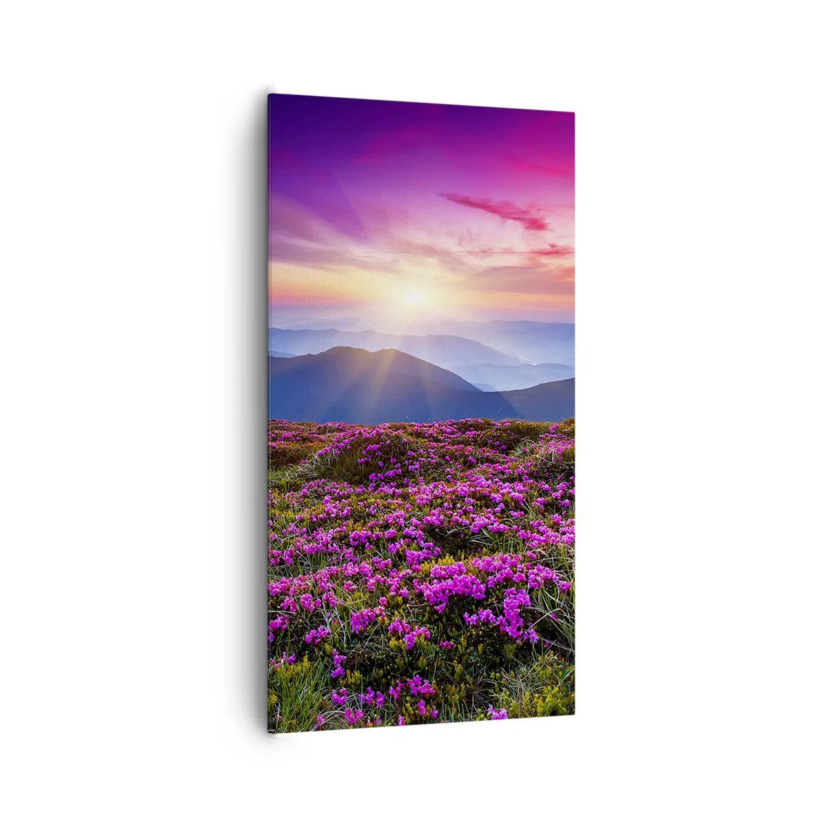 Obraz na płótnie - Ziół zapachniały świeże pęki od niw - 65x120 cm