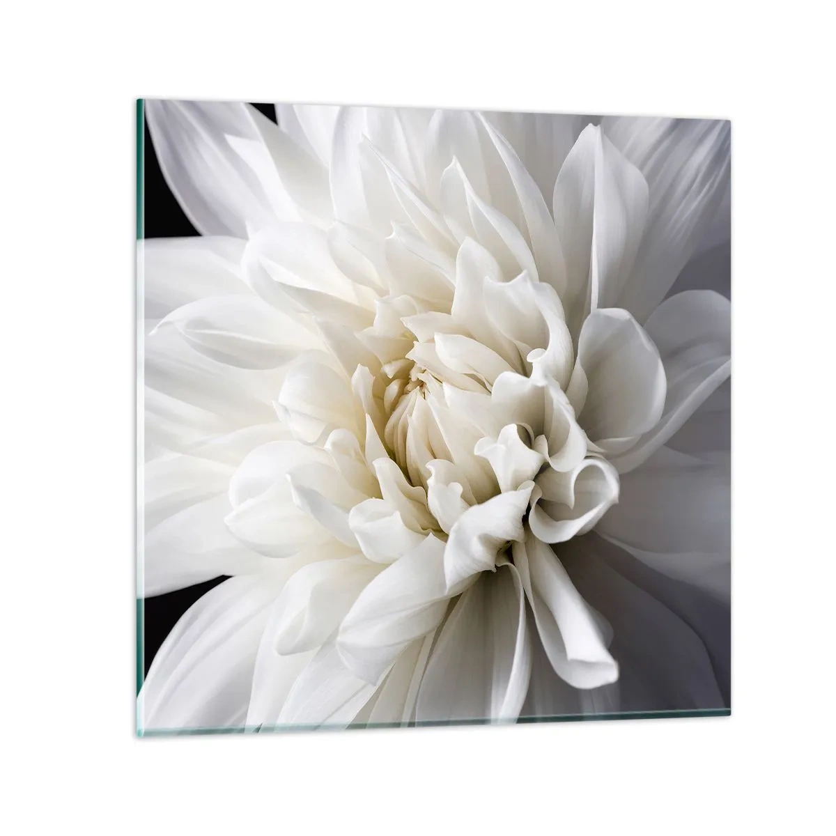 Obraz na szkle - Poranek Panny Młodej - 70x70 cm