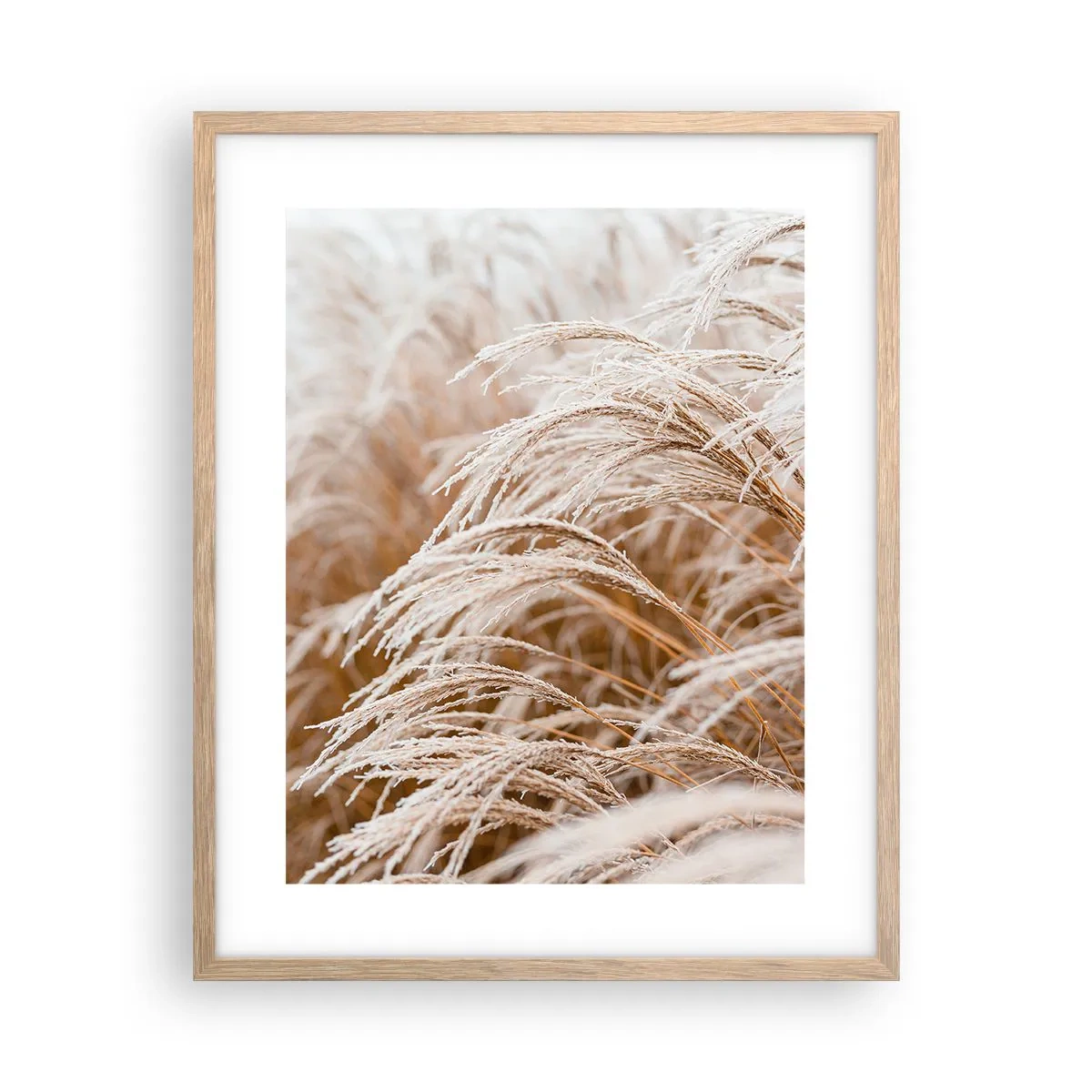 Plakat w ramie jasny dąb - Pokłon jesiennemu słońcu - 40x50 cm