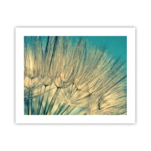 Plakat - W oczekiwaniu na wiatr - 50x40 cm