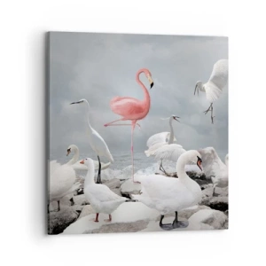 Obraz na płótnie - Skąd się tu wziąłem? - 70x70 cm