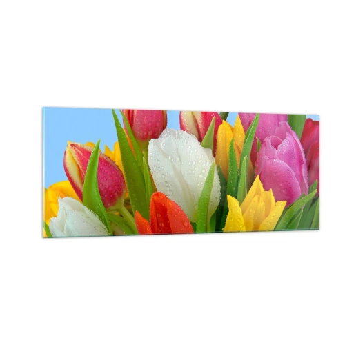 Obraz na szkle - Kwiatowa tęcza w kroplach rosy - 100x40 cm