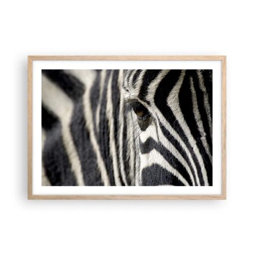 Plakat w ramie jasny dąb - Portret w paski - 70x50 cm