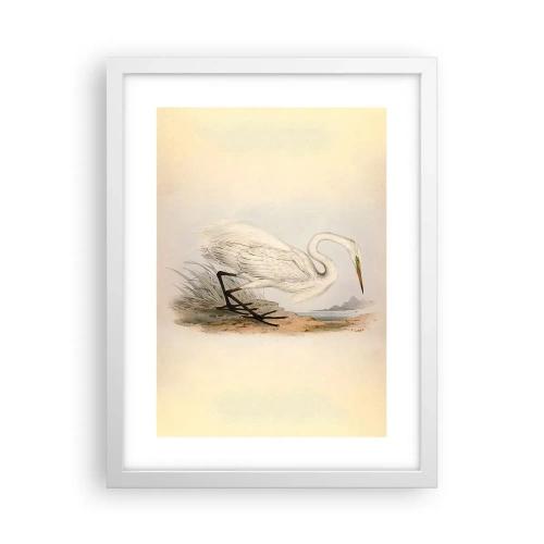 Plakat w białej ramie - Pani na szuwarach - 30x40 cm