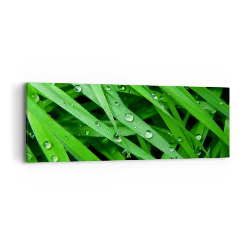 Obraz na płótnie - Zagraj w zielone - 90x30 cm