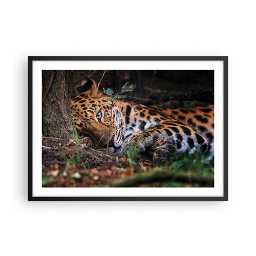 Plakat w czarnej ramie - Leżący lampart w cieniu drzew - 70x50cm - Zaufaj mi - Nowoczesna dekoracja ścienna do salonu i sypialni ARTTOR