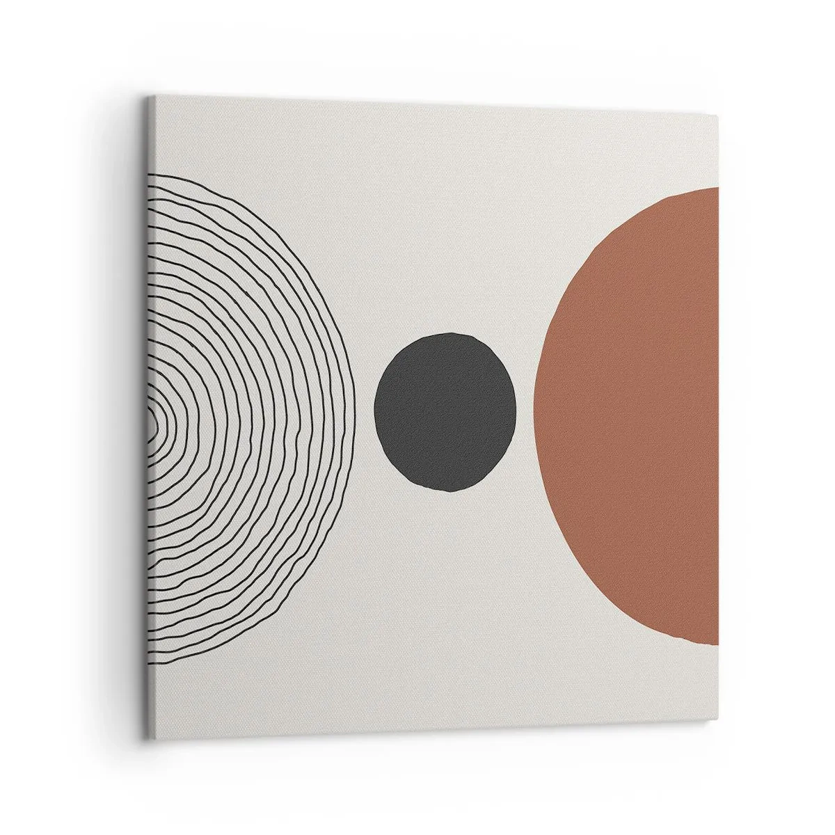 Obraz na płótnie - W centrum uwagi - 50x50 cm