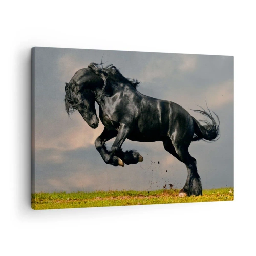 Obraz na płótnie - Czarny koń w dynamicznym skoku na tle nieba - 70x50cm - Piękny i wolny - Nowoczesna dekoracja ścienna do salonu i sypialni ARTTOR
