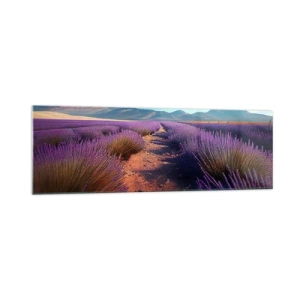 Obraz na szkle - Lawendowe pole z widokiem na góry i błękitne niebo - 160x50cm - Pachnące pola - Nowoczesna dekoracja ścienna do salonu i sypialni ARTTOR