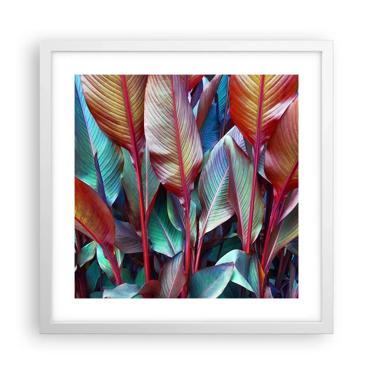 Plakat w białej ramie - Kolorowy gąszcz - 40x40 cm