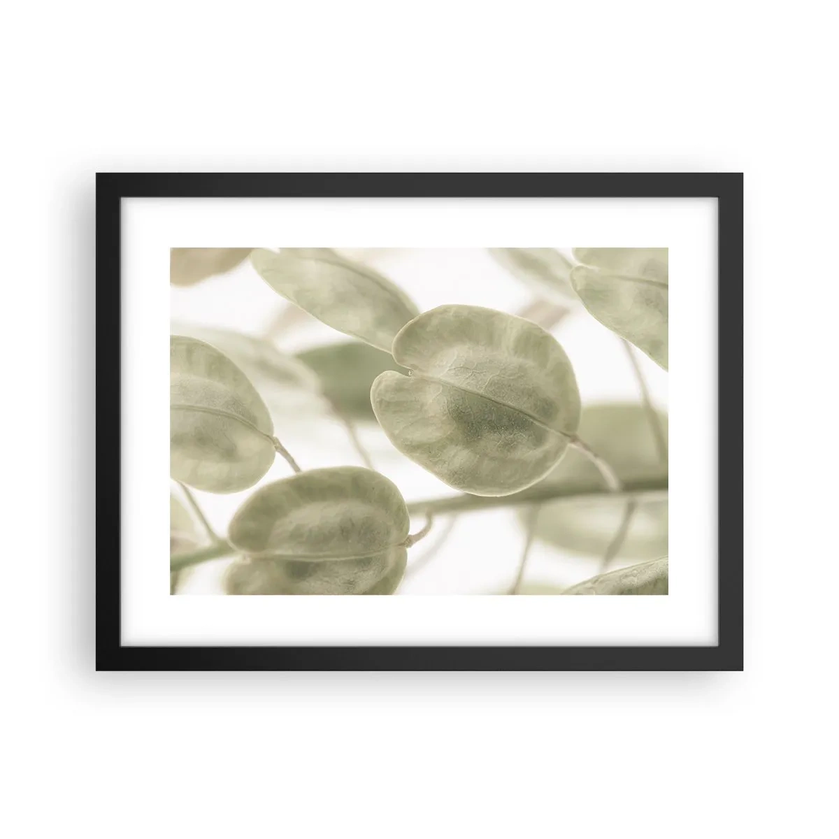 Plakat w czarnej ramie - Na początku były listki… - 40x30 cm