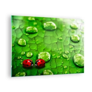Obraz na szkle - Dwie biedronki na zielonym liściu z kroplami wody - 70x50cm - Spotkanie w zieleni - Nowoczesna dekoracja ścienna do salonu i sypialni ARTTOR