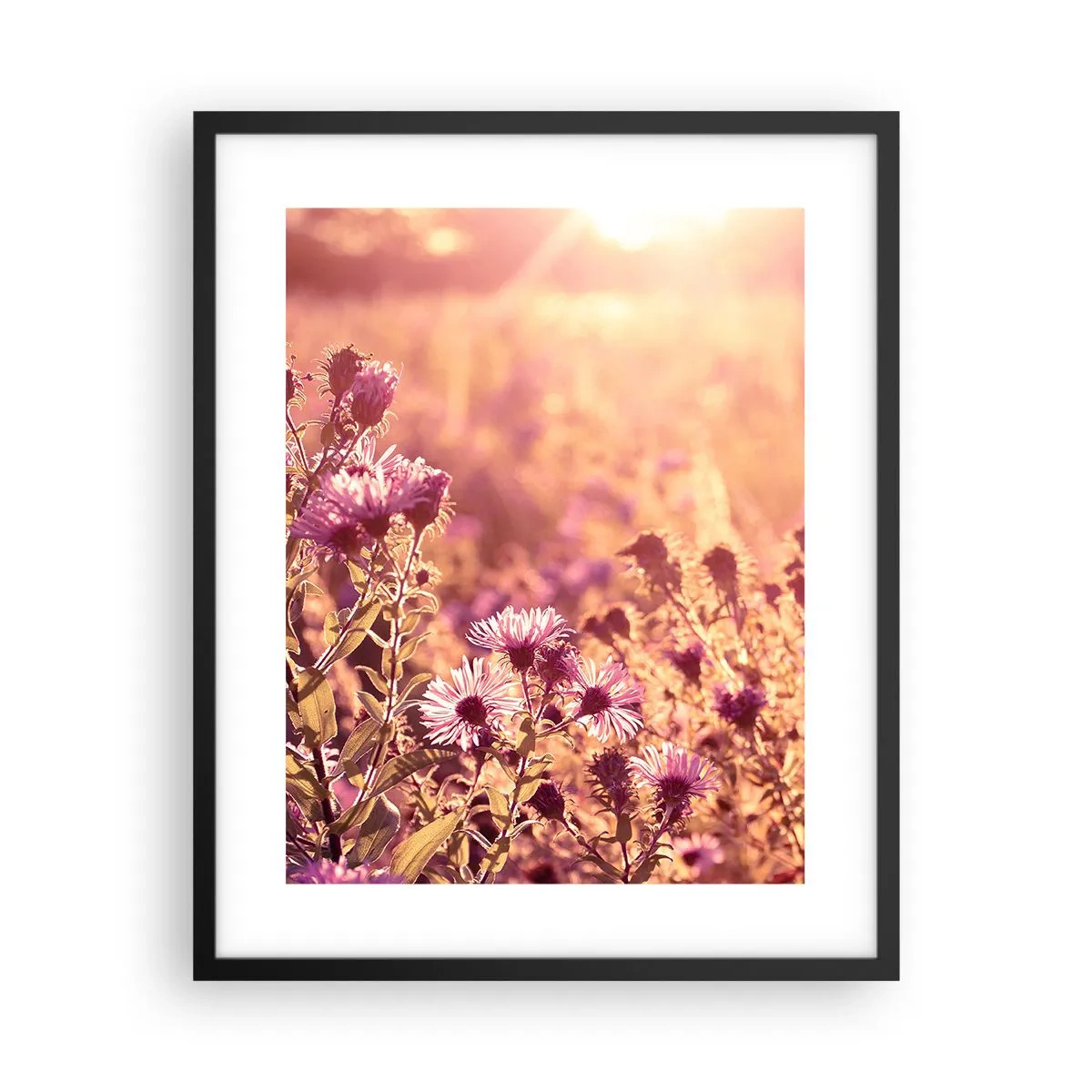 Plakat w czarnej ramie - Przed odejściem lata - 40x50 cm