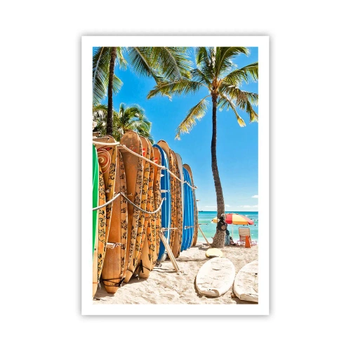 Plakat - Słoneczna zabawa - 61x91 cm