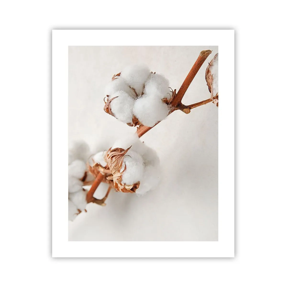 Plakat - Tylko tulić - 40x50 cm