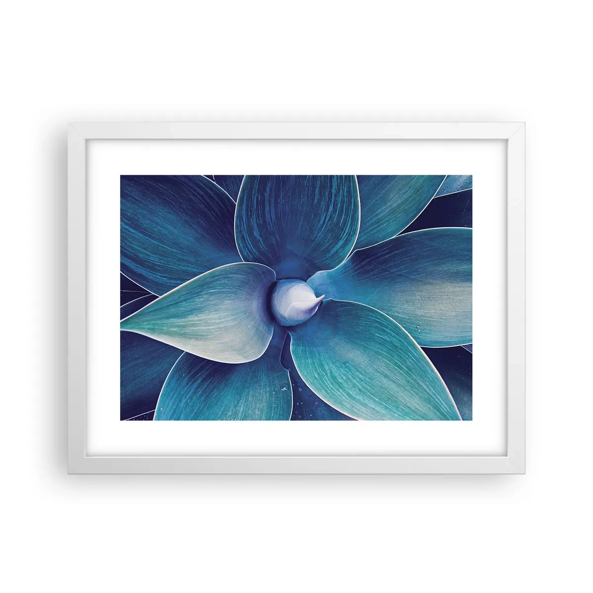 Plakat w białej ramie - Zbłękitniały od nieba - 40x30 cm
