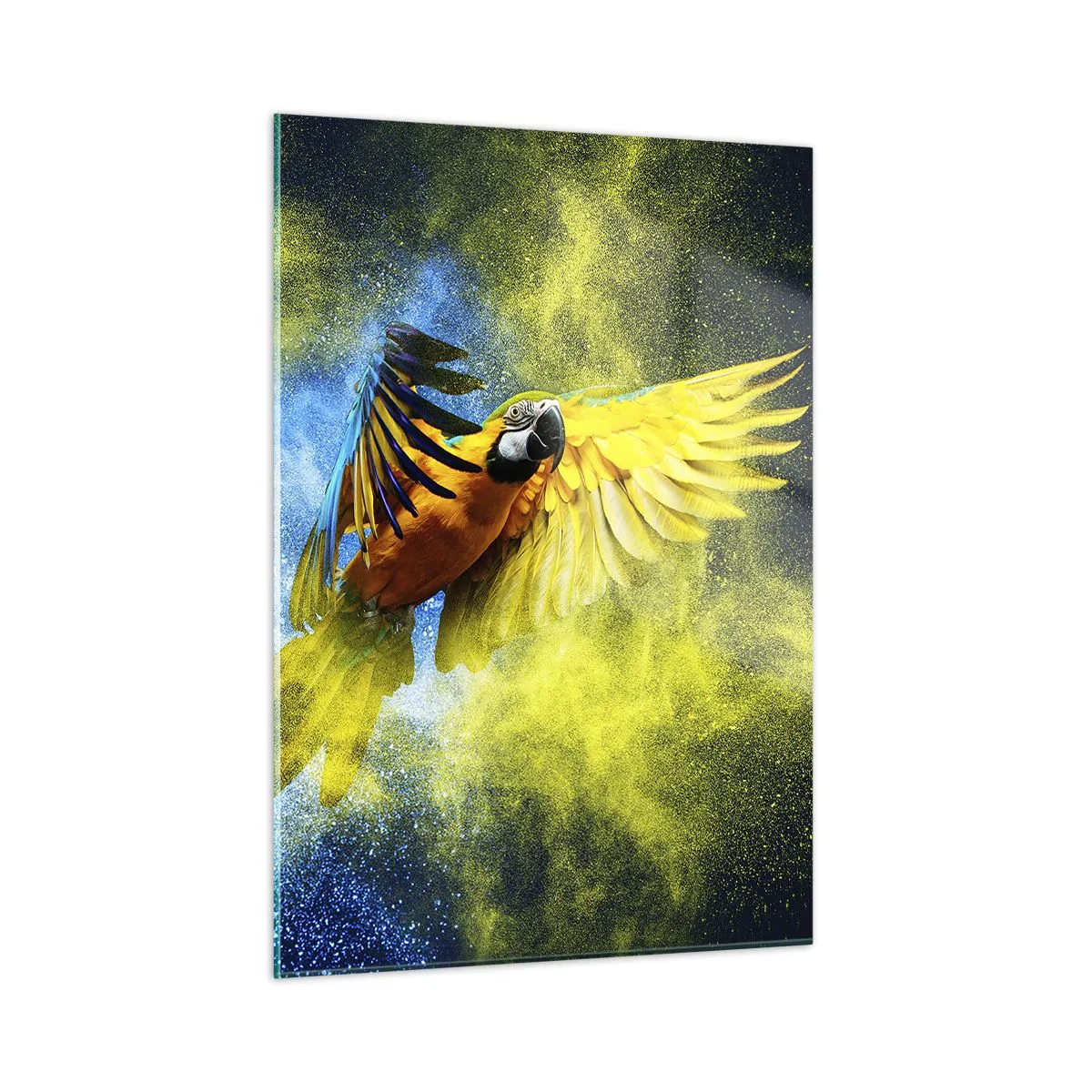 Obraz na szkle - Kolorowa papuga w locie na tle żółto-niebieskim - 50x70cm - W błękitno-złotym pyle - Nowoczesna dekoracja ścienna do salonu, kuchni i sypialni ARTTOR