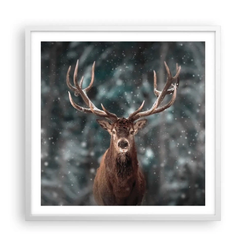 Plakat w białej ramie - Król lasu ukoronowany - 60x60 cm