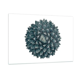 Obraz na szkle - Symetryczny wzór rośliny sukulenta na białym tle - 120x80cm - Gwiazda pustyni - Nowoczesna dekoracja ścienna do salonu, kuchni i sypialni ARTTOR