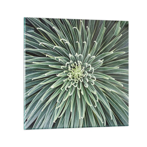Obraz na szkle - Narodziny gwiazdy - 60x60 cm