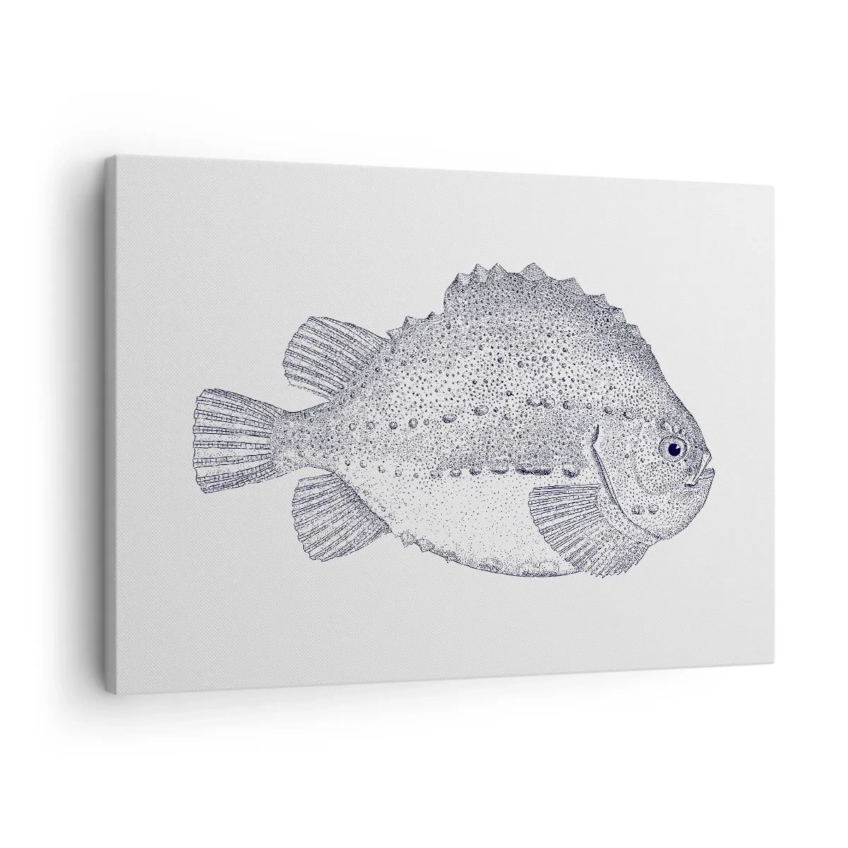 Obraz na płótnie - Czarno-biały rysunek ryby na białym tle w stylu minimalistycznym - 70x50cm - Do albumu przyrodnika - Nowoczesna dekoracja ścienna do salonu i sypialni ARTTOR