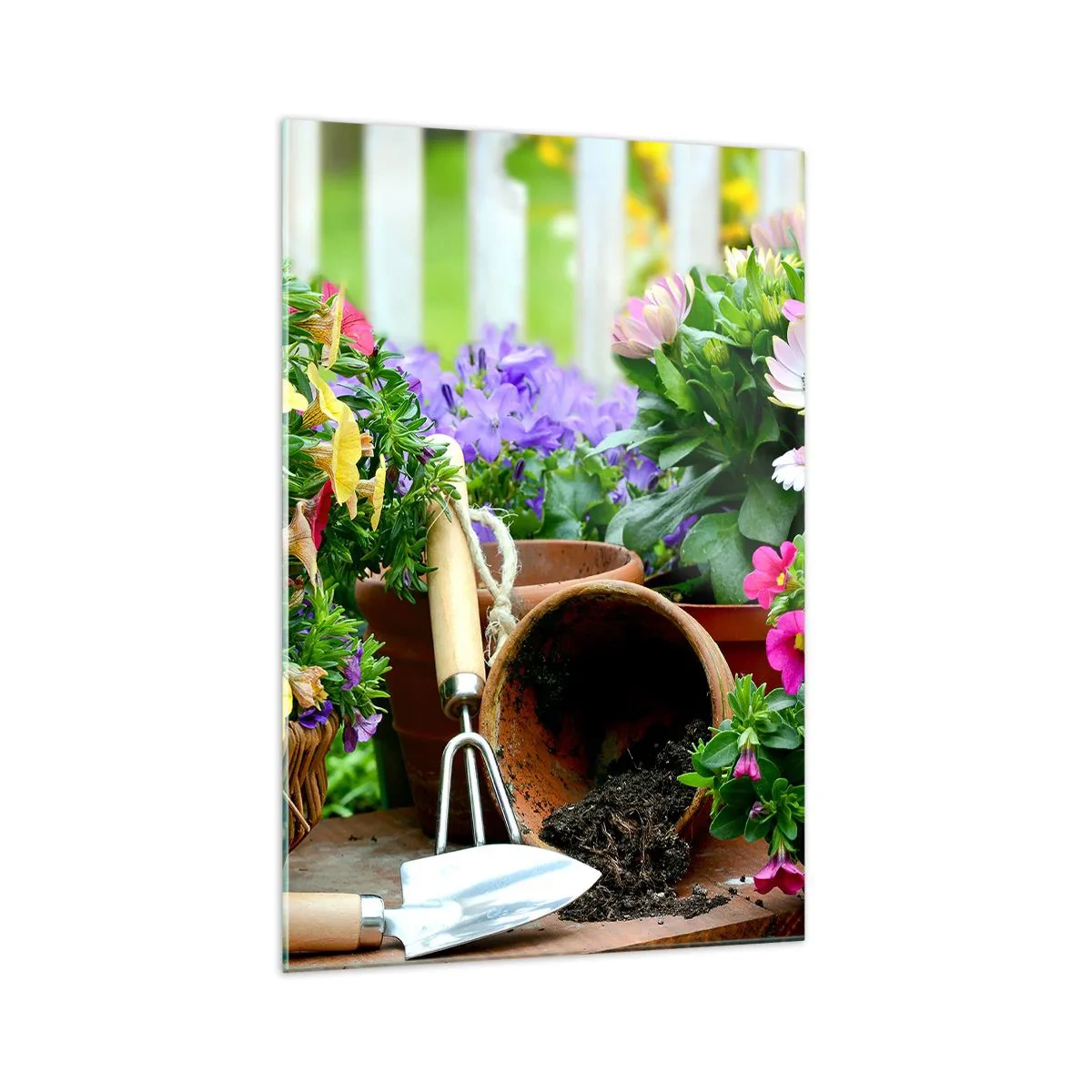 Obraz na szkle - Kolorowe kwiaty w doniczkach z narzędziami ogrodniczymi na stole - 70x100cm - Ogródek Zosi - Nowoczesna dekoracja ścienna do salonu i sypialni ARTTOR