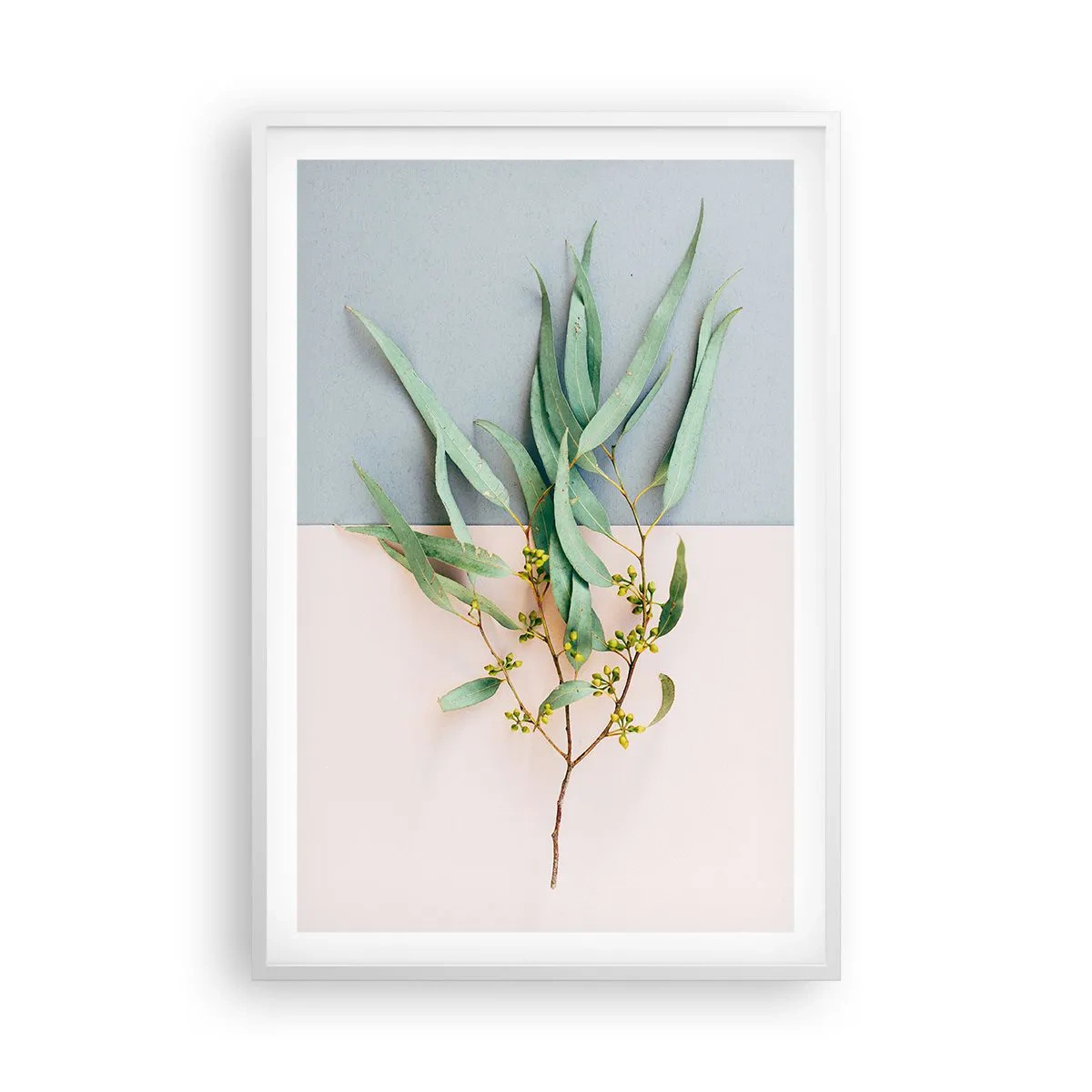 Plakat w białej ramie - Pastelowa subtelność - 61x91 cm