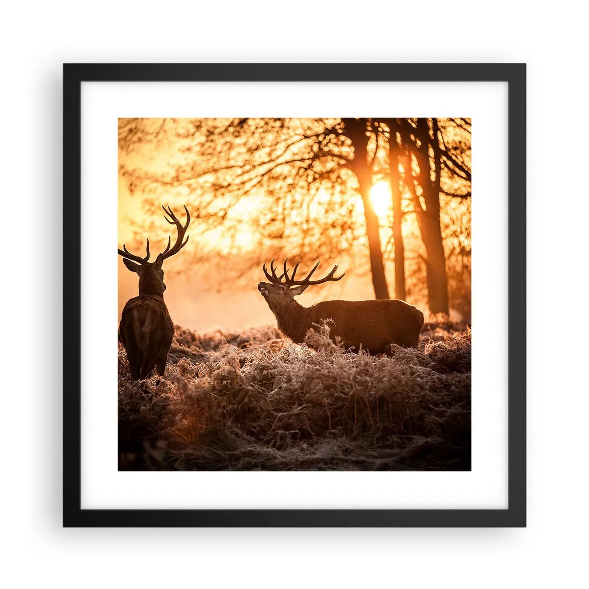 Plakat w czarnej ramie - Marzenie myśliwego - 40x40 cm