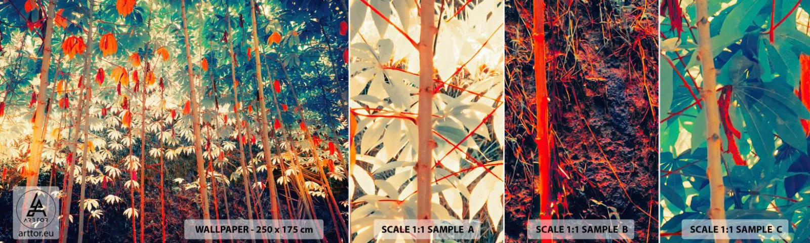 Fototapeta Próbka Samoprzylepna Deluxe Sticker - Tajemne życie liści - Las Tropikalny, Natura, Drzewa - 100x30 cm