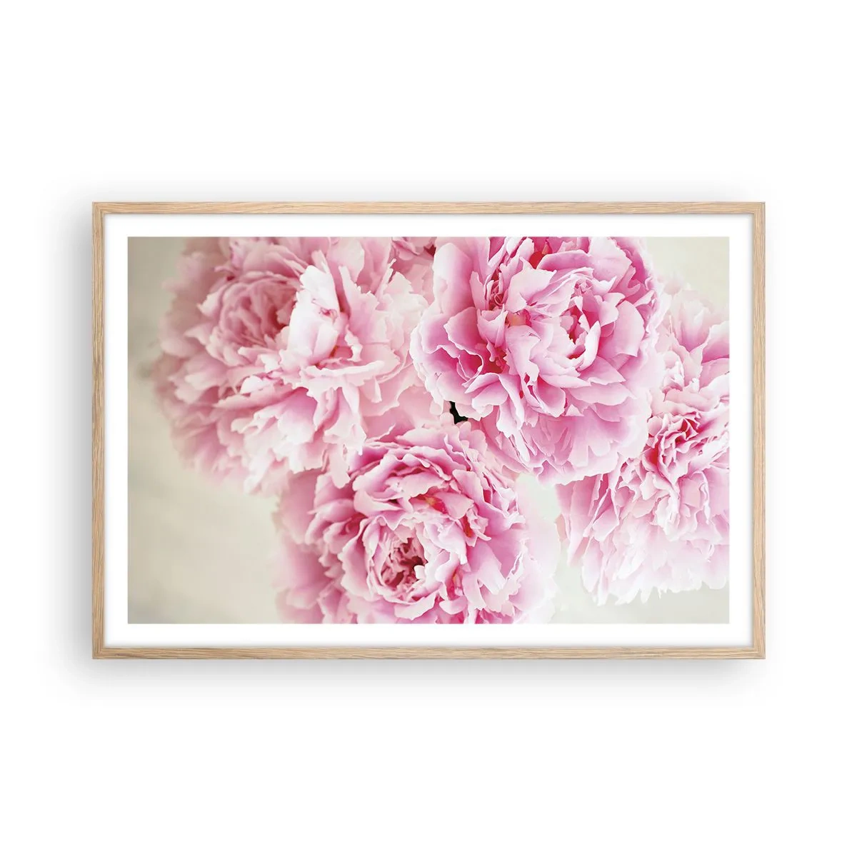 Plakat w ramie jasny dąb - W różowym przepychu - 91x61 cm
