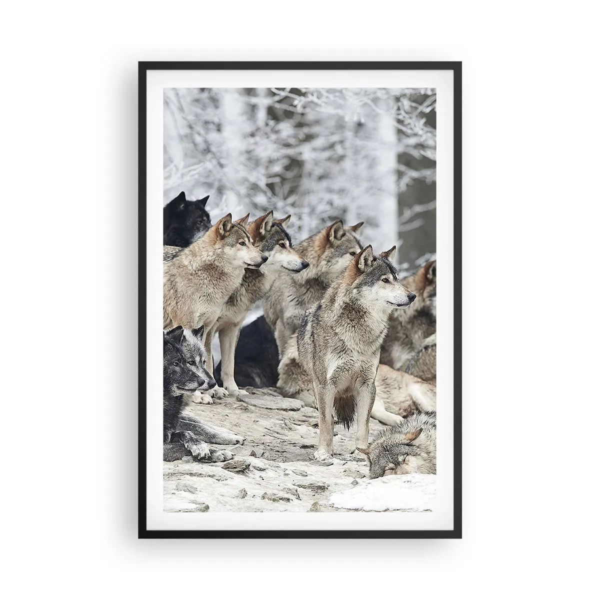Plakat w czarnej ramie - Rodzina i przyjaciele - 61x91 cm