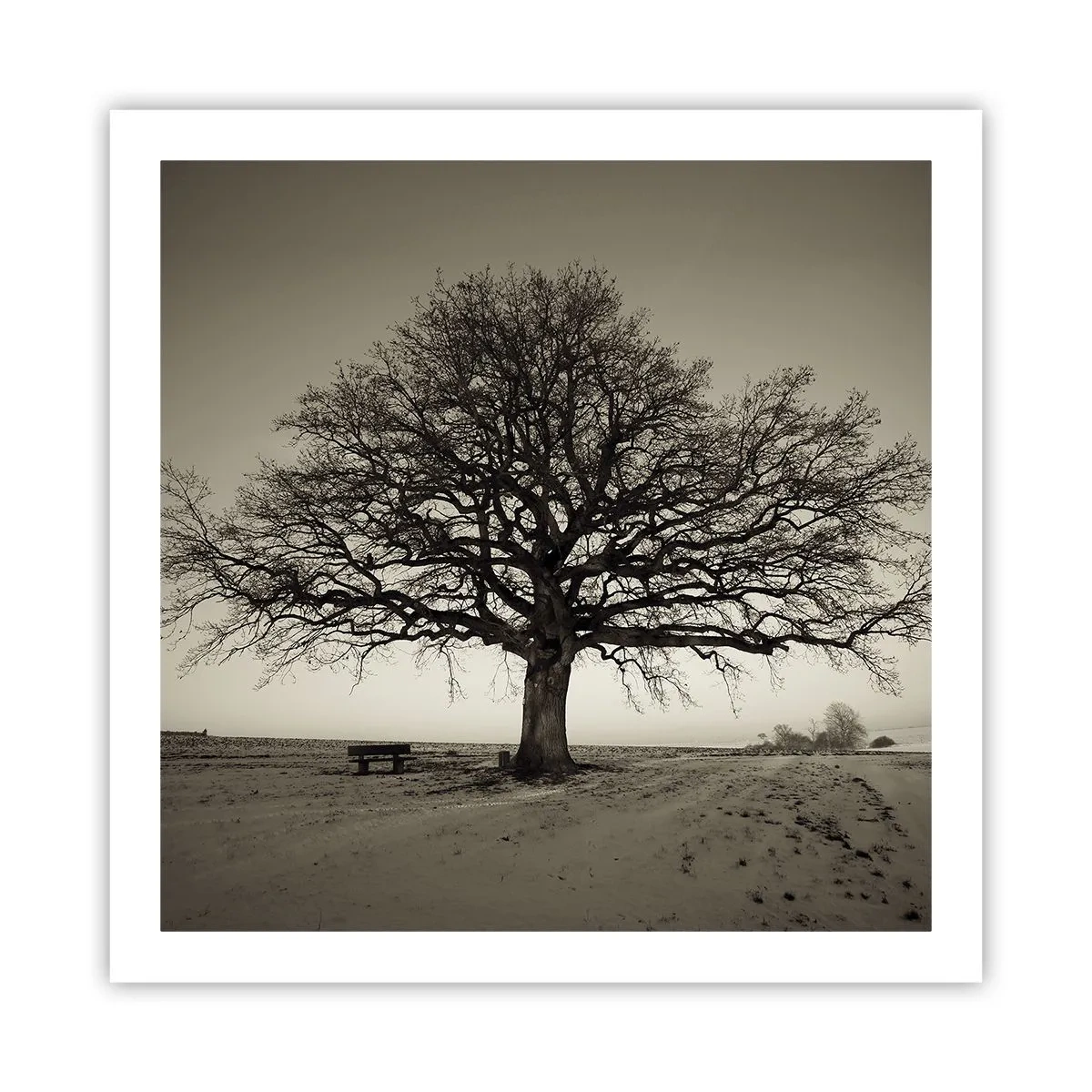 Plakat - Stąd do wieczności - 60x60 cm