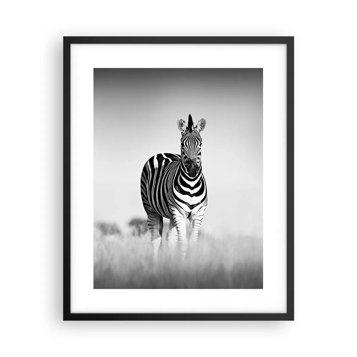 Plakat w czarnej ramie - A jednak świat jest czarno-biały - 40x50 cm