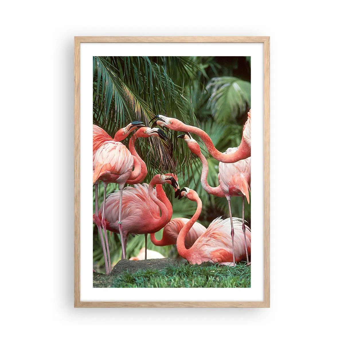 Plakat w ramie jasny dąb - Popołudniowe ploteczki - 50x70 cm