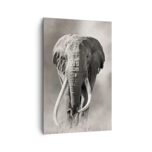 Obraz na płótnie - Monochromatyczny portret majestatycznego słonia afrykańskiego na sawannie - 80x120cm - Afrykański patriarcha - Nowoczesna dekoracja ścienna do salonu i sypialni ARTTOR