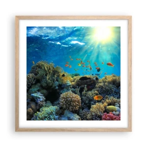 Plakat w ramie jasny dąb - Podwodne skarby - 50x50 cm