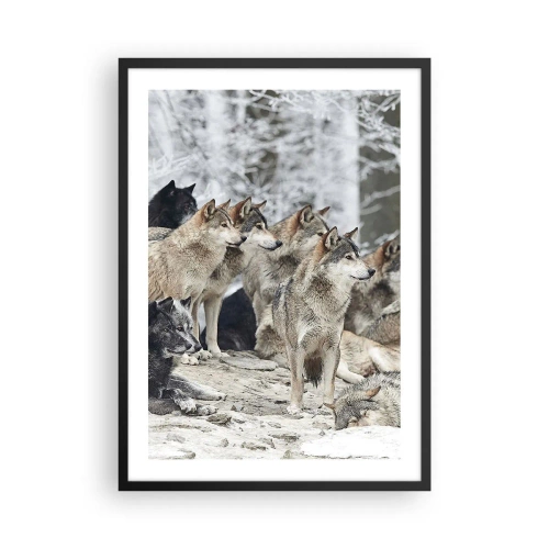 Plakat w czarnej ramie - Grupa wilków w zimowym lesie - 50x70cm - Rodzina i przyjaciele - Nowoczesna dekoracja ścienna do salonu i sypialni ARTTOR