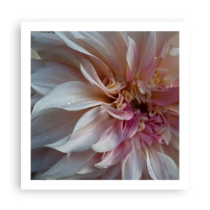 Plakat - Kwitnąca świeżość - 60x60 cm