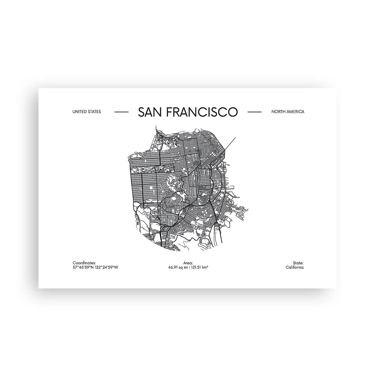 Plakat - Anatomia San Francisco - 91x61 cm