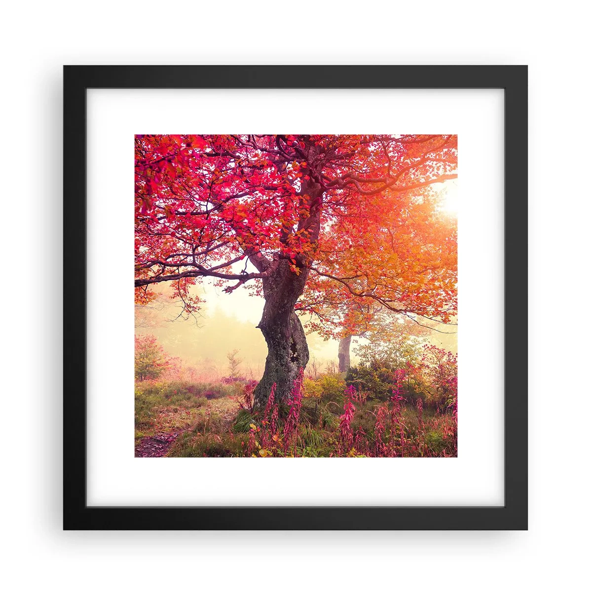 Plakat w czarnej ramie - Szał rozkwitu - 30x30 cm